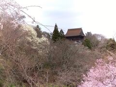 �g�V����̋g��R�ւ̓��e�ʐ^1