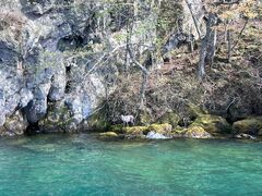 ̐AEghAZ^[(X)ւ̓eʐ^1