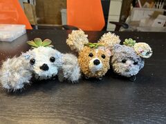 junkôƂ͉̂Yւ̓eʐ^2