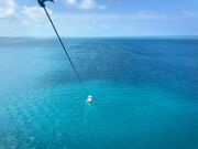 ̋{ÓpZ[O all good marine 385̓eʐ^1