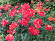 O`̂͂܂܂t[p[N̓eʐ^2