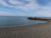 yosshy̓񌩉Y̓eʐ^2