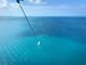 ̋{ÓpZ[O all good marine 385ւ̓eʐ^4