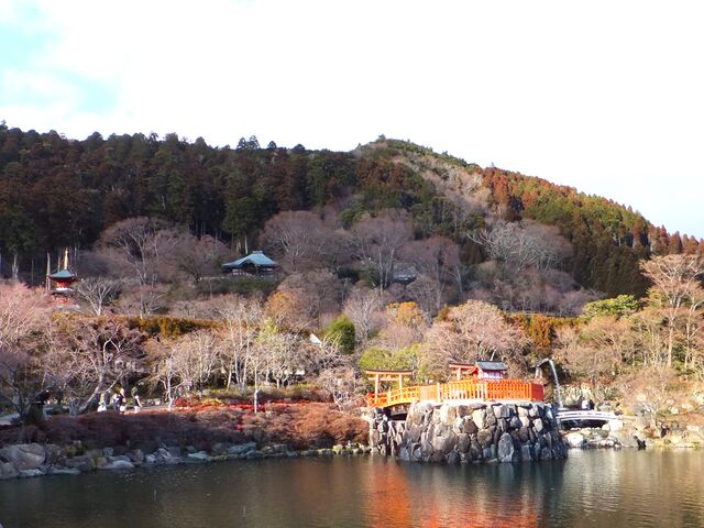 ߋBeFwiɑ󓃂ƓKB_ٓV