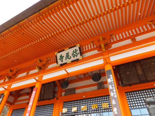 LbɂČꂽO䎛Ƒ肪Ă܂B_{