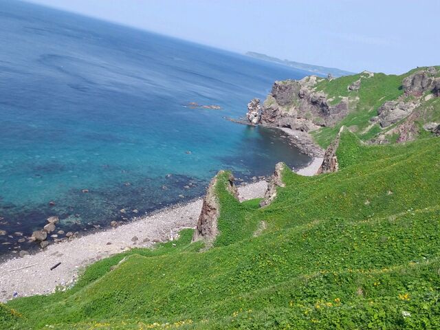 �ϒO�u���[_�_�Ж�