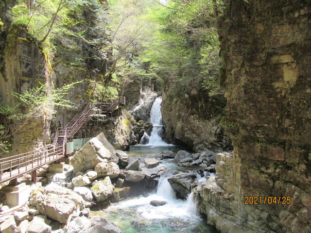 ��ڂ��A�Ȃ������i�͂��΂炵��_�O�c��