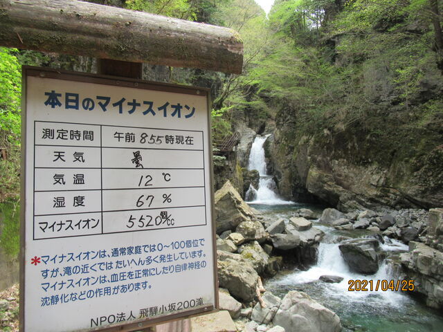 �{���̃}�C�i�X�C�I���Ȃ��5,520�^CC�𗁂т܂����B(^^��_�O�c��