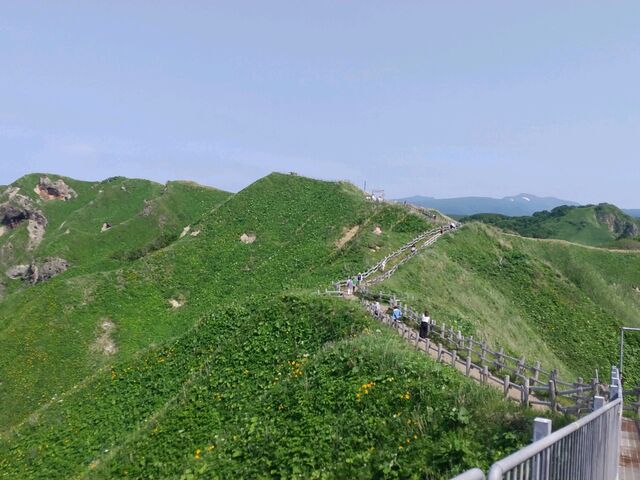 �����ɋC������_�_�Ж�