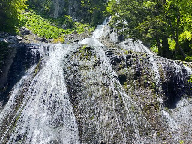 �������o���܂�_�O�{��