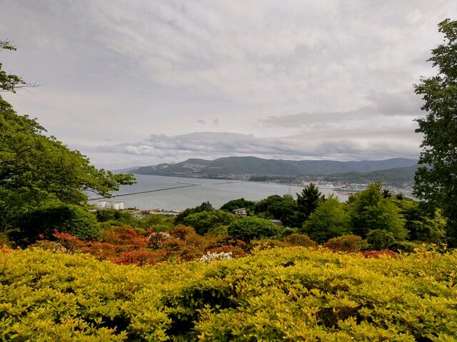 ���߂������ł��B_��{����