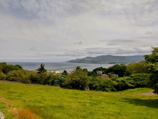 ��������_��{����