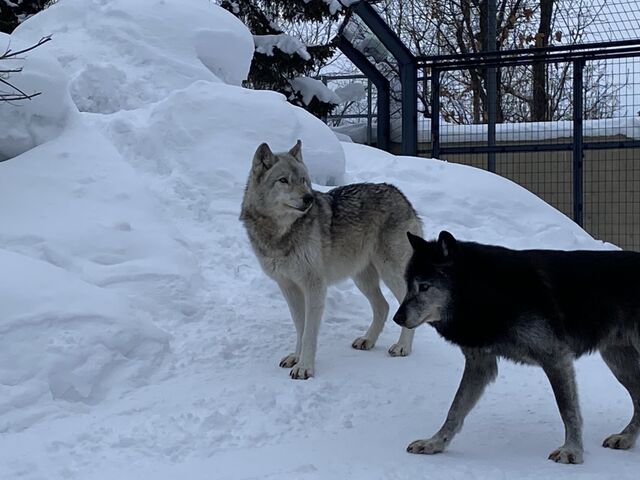 �I�I�J�~_���R������