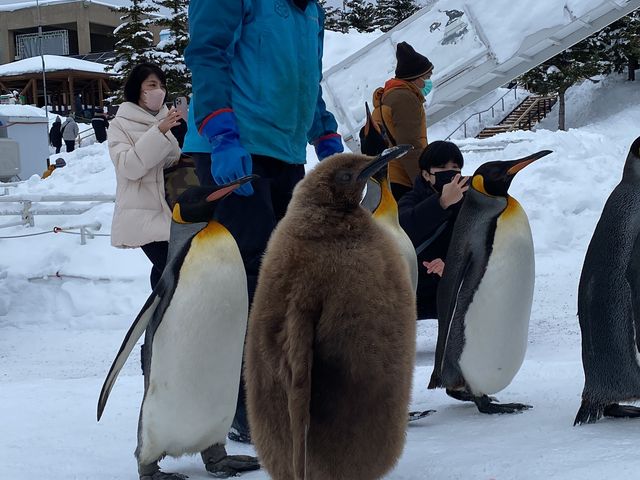 �y���M���U��_���R������