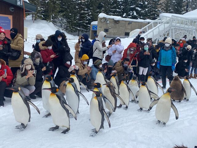 �y���M���U��_���R������