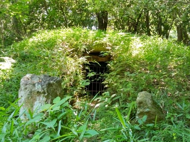 񂳂̎R̐_ˌÕ̓eʐ^1