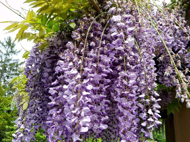 �F���Z���L���C�ł����B_���M����