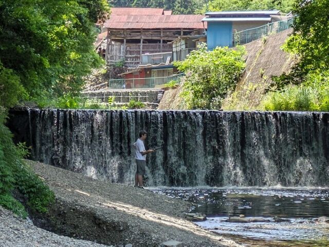 �Ƃɂ������R�ɖ��₳��܂�_�k��쉶���܂��ޏ�