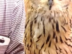 �������܂񂳂�̃A�N�A�t�H���X�g�@-���̐X-�ւ̓��e�ʐ^1