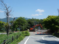 tama����̎R���Ζ��_�R�p�m���}��ւ̓��e�ʐ^3