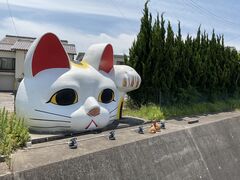 sharp̏튊₫̎Uւ̓eʐ^1