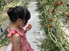 J̊Ё@og}g_ւ̓eʐ^1