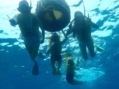 Wĩ}Vbv }[Chւ̓eʐ^1