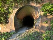 Shota̐esmKgl̓eʐ^1