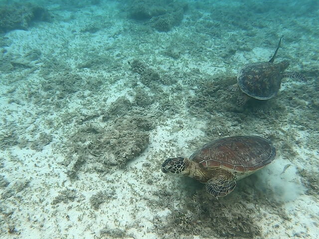 �E�~�K��_�J�Y�{�@�T�[�t�A���hSUP