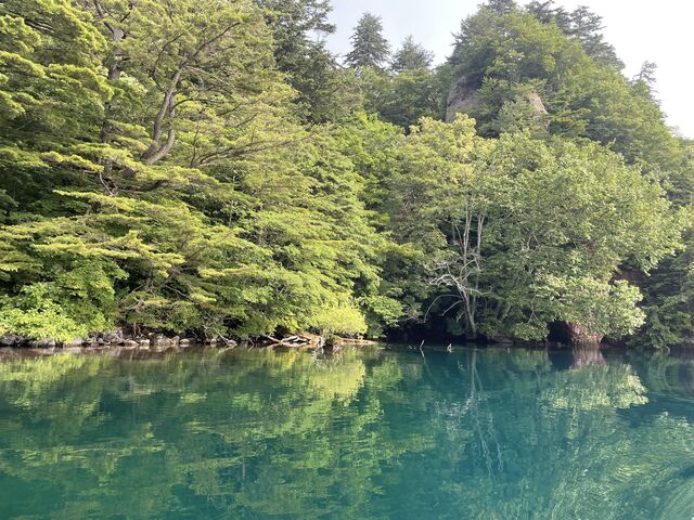 �G�������h�u���[�̌�_�\�a�c�΃p���[�X�|�b�g�N���[�Y