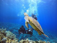 񂳂DIVE IN CHATANւ̓eʐ^1