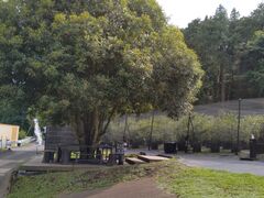 GCTBlueberry HILLS ւ̓eʐ^4