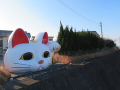 常滑　交通安全　ストラップ　とこにゃん 常滑 交通安全 ストラップ とこにゃん