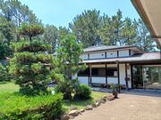 ̂䂫̎RqLOق̓eʐ^1