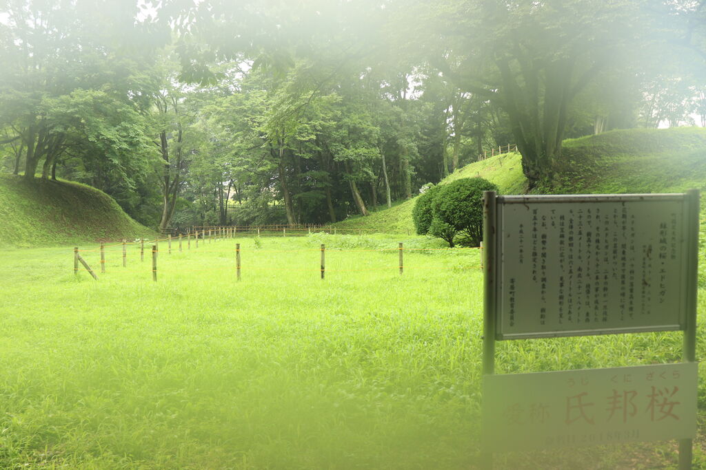 鉢形（埼玉県）の観光スポットランキングTOP6 - じゃらんnet