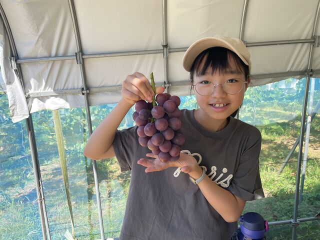 �����ł���_���Ԃ̗��t���[�c�g�s�A