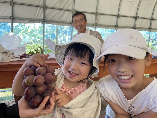 �����ł���_���Ԃ̗��t���[�c�g�s�A