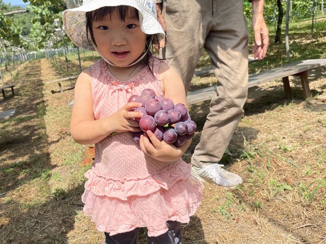 �������q���y���߂�_���Ԃ̗��t���[�c�g�s�A