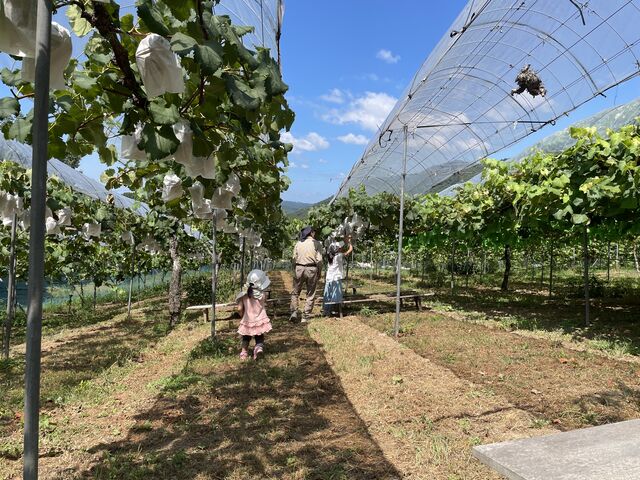 ����ȂƂ���_���Ԃ̗��t���[�c�g�s�A