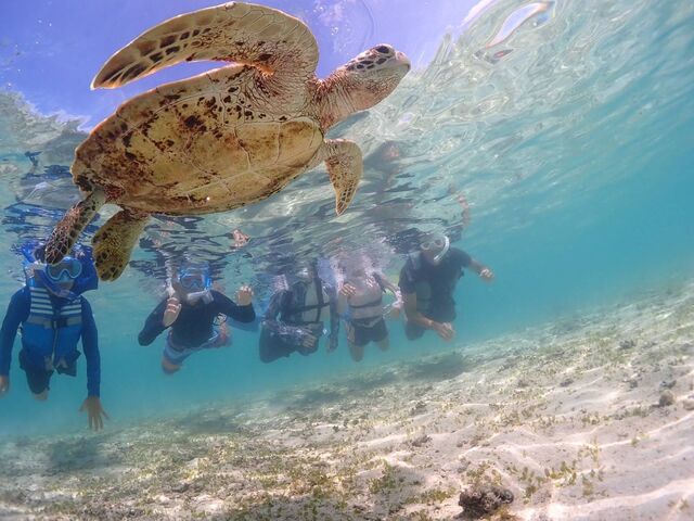 ���S���𒴂��鍂�掿�ʐ^�f�[�^�𒸂��܂��B_CHAMP TOUR �{�Ó�