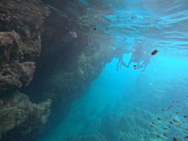 �����B�e_CHILL DIVE