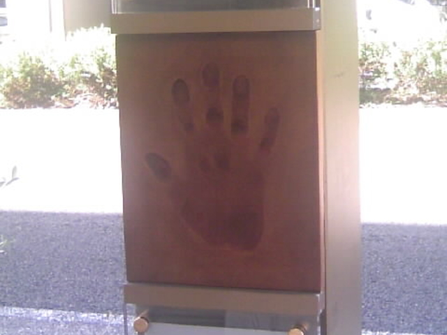 c̊XɑX|[cI̎^_gsScw