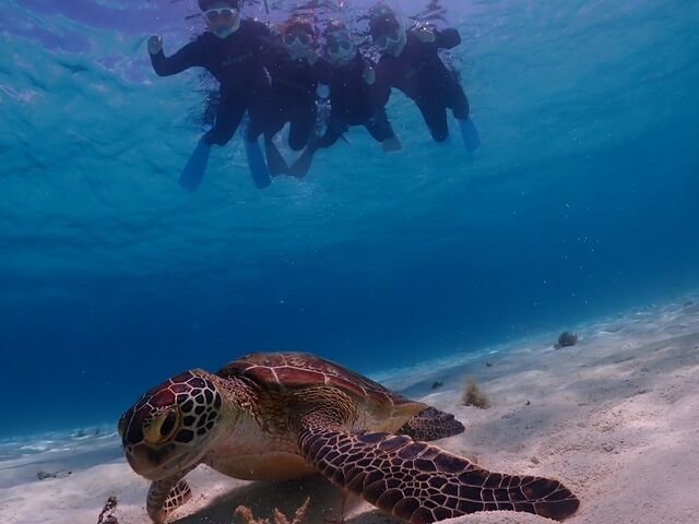 �C�t�ŊC�T�ƈꏏ�ɉj���A�C�T���H�����ɉƑ�4�l�Ƃ̎ʐ^���X�^�b�t����ɎB���Ă��������܂����B_���d�����}�����n�[�g�{�Ó�