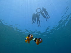 RỸ}Nu Gigiւ̓eʐ^1