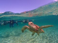 blue̋{blue܂ق΂ւ̓eʐ^1