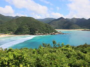 p񂳂̋Պωi茧ܓsj̓eʐ^1