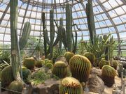 Ă̕PHs蕿RA̓eʐ^1