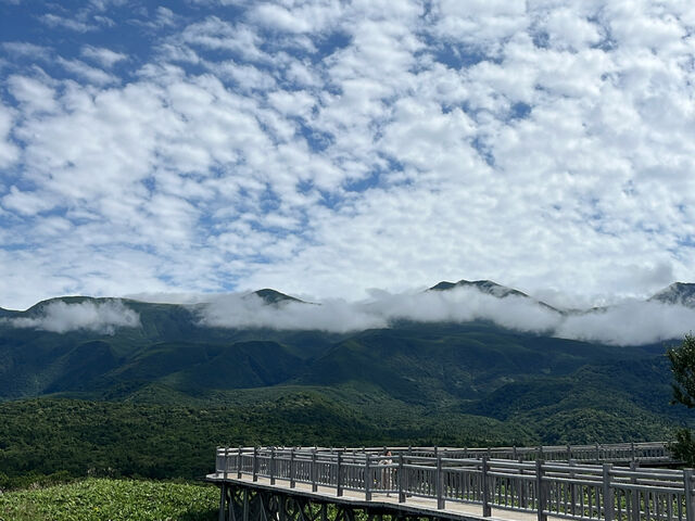 ���˖ؓ�����A�G�]�V�J�������܂���_�m�����R�̌��v���O�������̎���