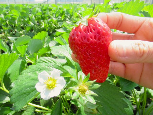 䕂̉ԂƎ�_�܌j�r���������