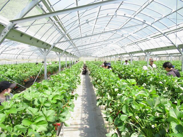 �r�j�[���n�E�X�́A�ƂĂ������B_�܌j�r���������